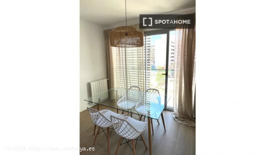 Apartamento entero de 1 dormitorio en Alacant - ALICANTE