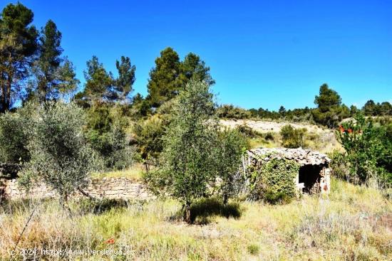 Se Vende en La Fresneda - TERUEL