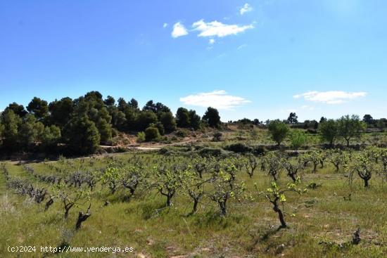 Se Vende en Valderrobres - TERUEL