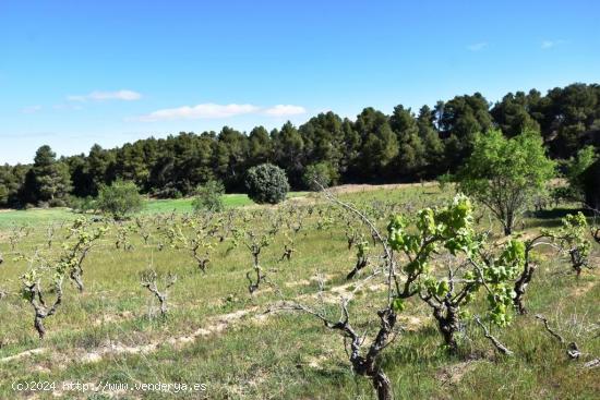 Se Vende en Valderrobres - TERUEL