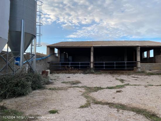 SE VENDE GRANJA EN TORNOS (TERUEL) - TERUEL