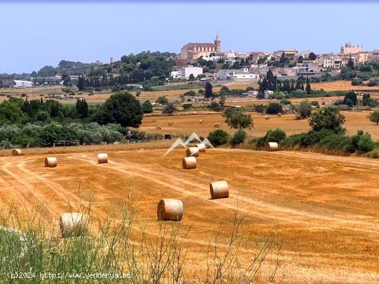 Terreno para tres viviendas unifamiliares en Santa Margalida - BALEARES