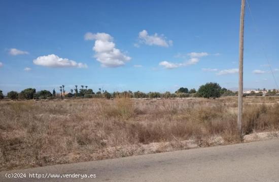  Terreno Rústico de 19000m, cerca de aeropuerto, Elche - ALICANTE 