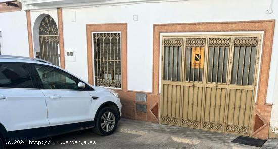  BAJO EN LA LOCALIDAD DE VILLAVERDE DEL RÍO, SEVILLA. - SEVILLA 