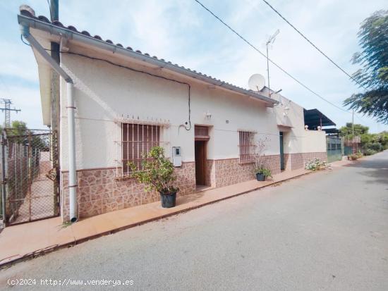 Fantástica casa de campo con gran parcela en Dolores, Alicante, Costa Blanca Sur - ALICANTE