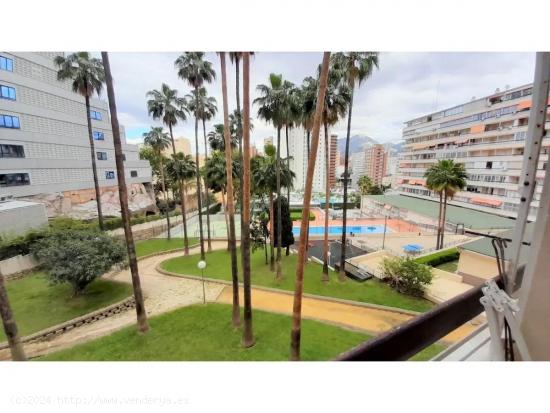 Se Vende en Benidorm - ALICANTE