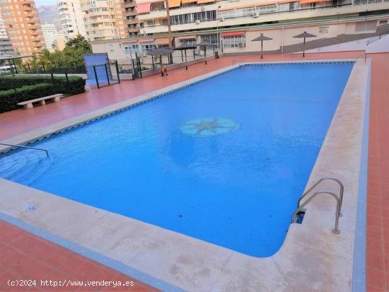 Se Vende en Benidorm - ALICANTE