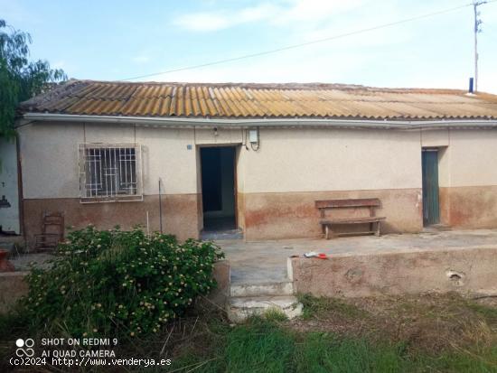 Casa para reformar en parcela de 6.000m2 - MURCIA