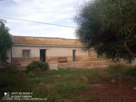 Casa para reformar en parcela de 6.000m2 - MURCIA