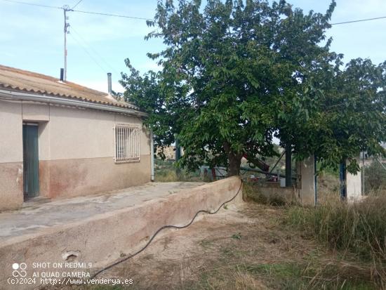 Casa para reformar en parcela de 6.000m2 - MURCIA