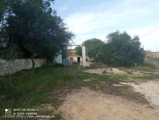 Casa para reformar en parcela de 6.000m2 - MURCIA