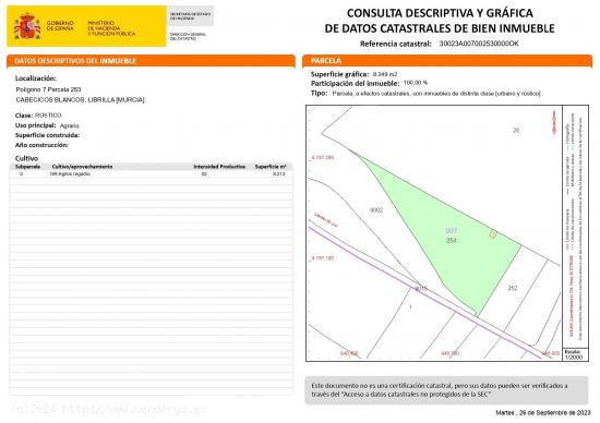 Finca de limoneros en producción con casa de aperos - MURCIA