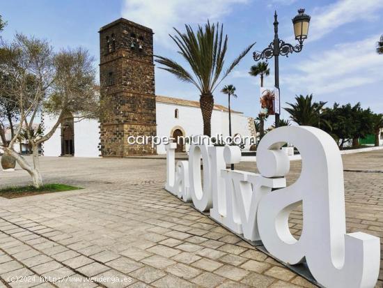 ¡OPORTUNIDAD! Terreno en La Oliva - LAS PALMAS