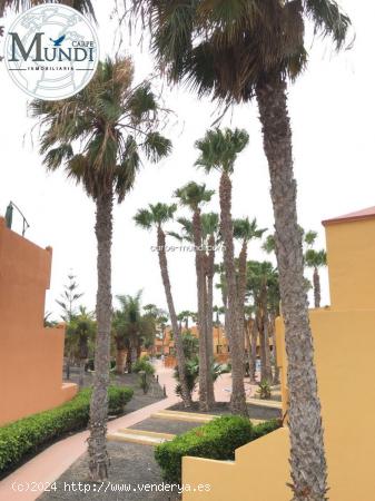 Apartamento en Oasis Dunas.Corralejo - LAS PALMAS