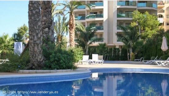  BONITOS APARTAMENTOS EN CALPE - ALICANTE 