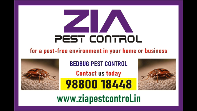  Zia Pest control | Bedbug Treatment | Rodent | 1981 Bedbugs service 