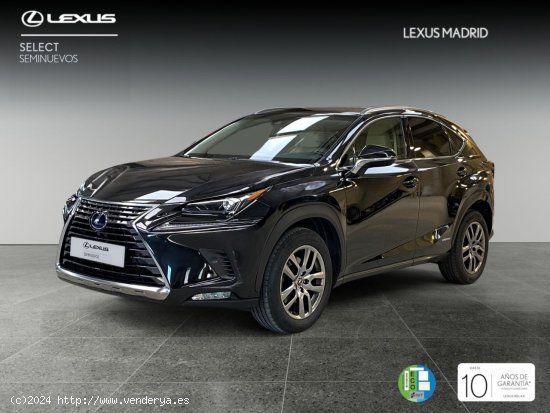 Lexus NX 2.5 300h Executive Navigation 4WD - Madrid