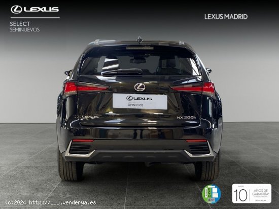 Lexus NX 2.5 300h Executive Navigation 4WD - Madrid