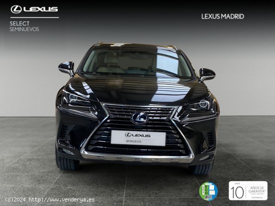 Lexus NX 2.5 300h Executive Navigation 4WD - Madrid