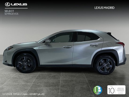 Lexus UX 2.0 250h Business - El Plantío