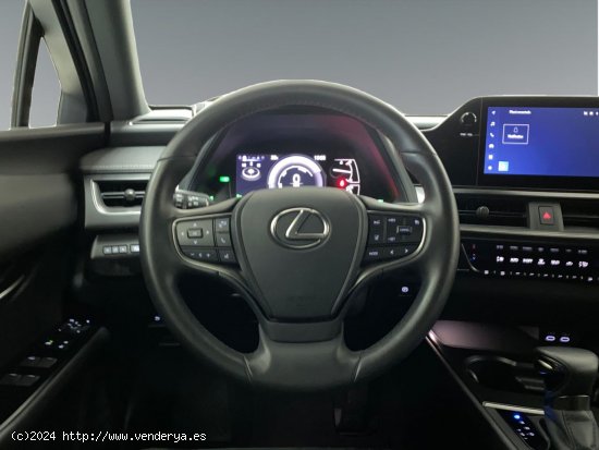 Lexus UX 2.0 250h Business - El Plantío