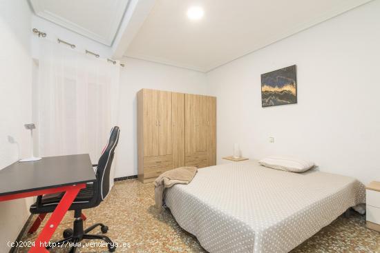 Habitación alquiler doble en zona Plaza de Crevillente CEU Cardenal Herrera - ALICANTE