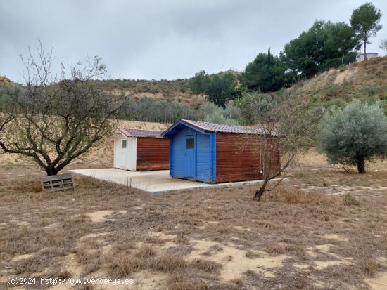 Parcela en Camino de Los Puros. El Garruchal - MURCIA