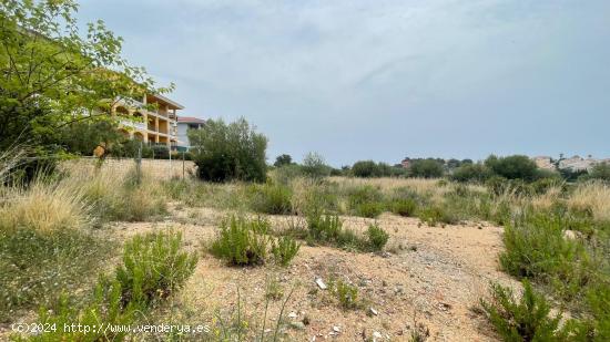 PARCELA DE TERRENO URBANO RESIDENCIAL CON UNA SUPERFICIE DE 10.908 M² - CASTELLON