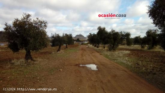 TERRENO RÚSTICO DE 1 HA JUNTO AL PANTANO - CORDOBA