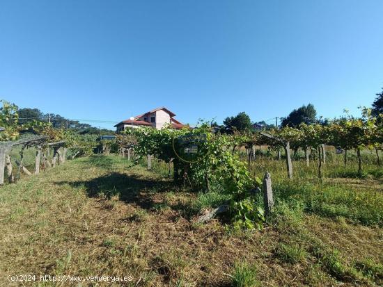 Finca urbanizable en Mos - PONTEVEDRA