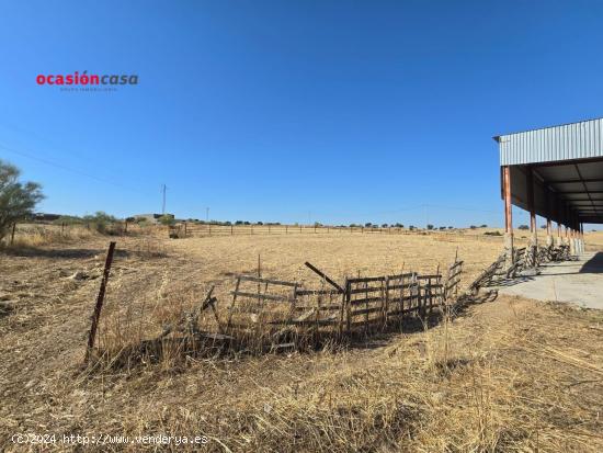 FINCA RÚSTICA CON NAVES - CORDOBA