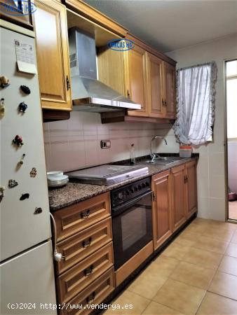 Excelente vivienda en plaza de san blas - ALICANTE