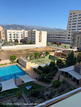 PISO DE ALQUILER EN CAMPUS DE LA SALUD. - GRANADA