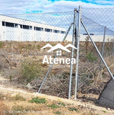 TERRENO EN VENTA EN ROMICA - ALBACETE