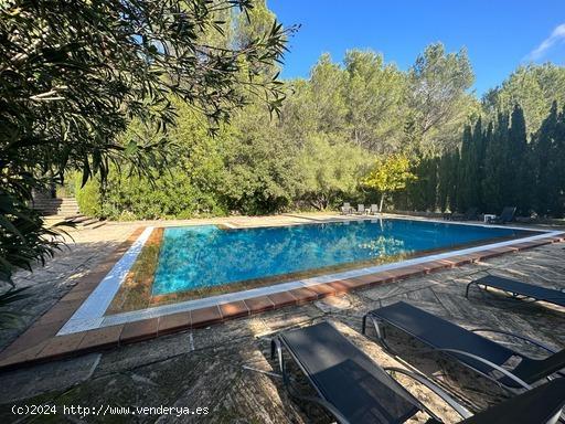 Encantadora finca rústica en alquiler en Esporles rodeada de belleza natural - BALEARES