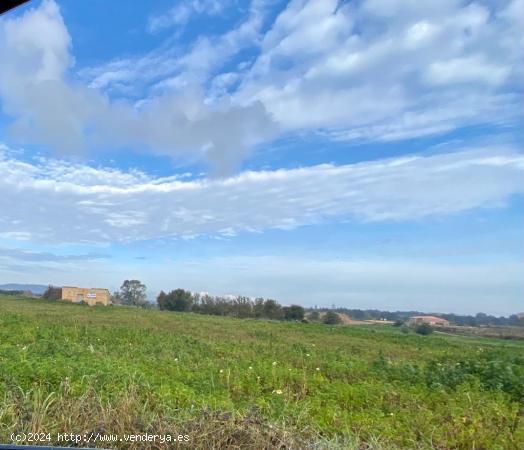  Finca rústica edificable en Manacor - BALEARES 