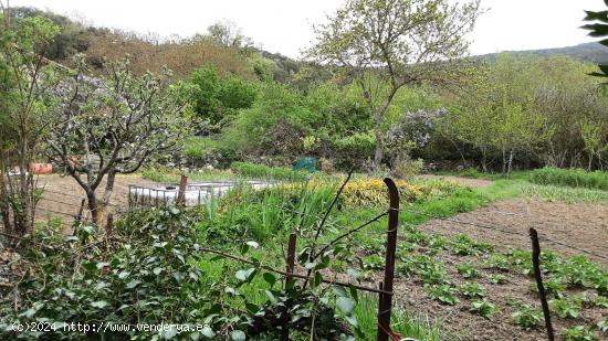 Se  vende terreno urbano en la Puebla de Arganzón - BURGOS