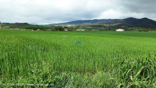 Se vende terreno industrial en La Puebla de Arganzón - BURGOS