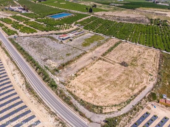 SE VENDE FINCA RÚSTICA DE 27.000 m Los Montesinos - ALICANTE