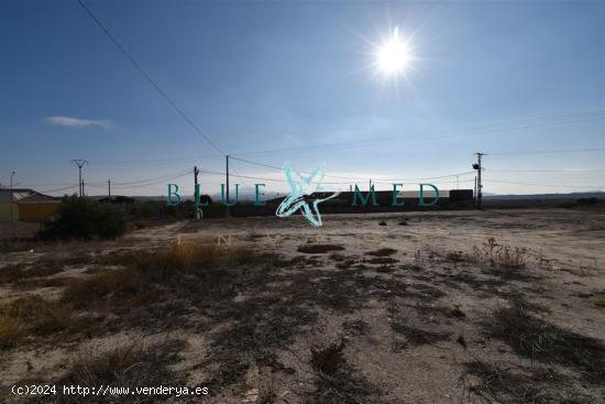  SE VENDE PARCELA, DE 4700 METROS EN CAÑADA DE ROMERO. - MURCIA 