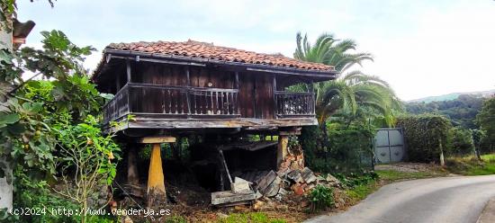 CASA CON  CORRAL, HÓRREO Y TERRENO EN EL ALTO LA MADERA - ASTURIAS