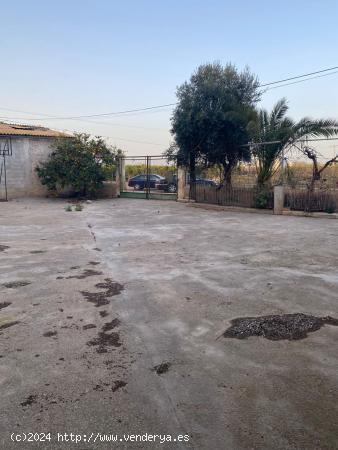  VENTA MASIA QUART DE POBLET - VALENCIA 