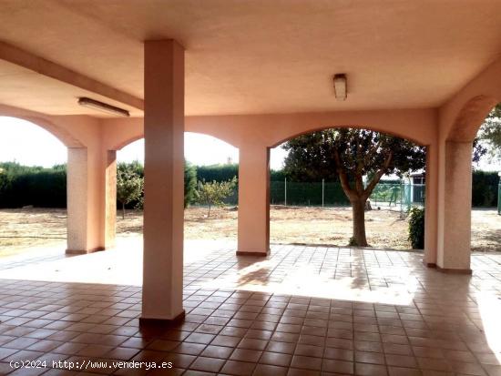 CHALET CON TERRENO EN LA PALMA MURCIA. - MURCIA