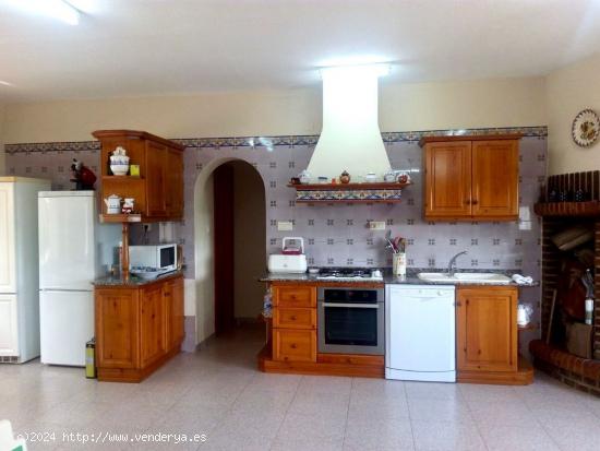 CHALET CON TERRENO EN LA PALMA MURCIA. - MURCIA