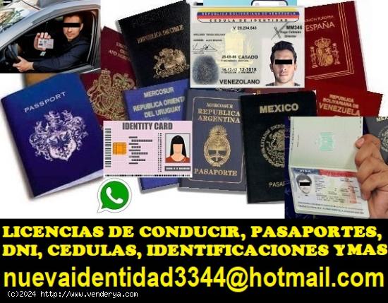 LICENCIAS DE CONDUCIR, DNI, PASAPORTES Y MAS