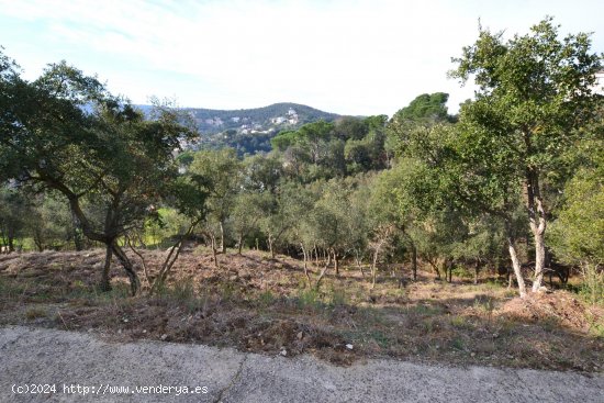 Suelo urbano en venta  en Calonge - Girona