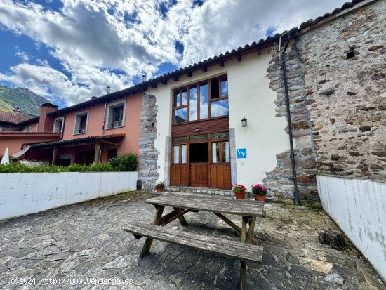 Casa de pueblo en Venta en Caunedo (Somiedo) Asturias