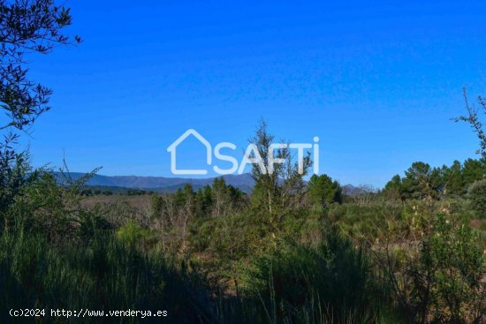 Terreno edificable con vistas espectaculares