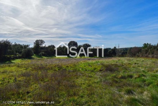 Finca de 19.500m2 con agua abundante en la Sierra de Gata