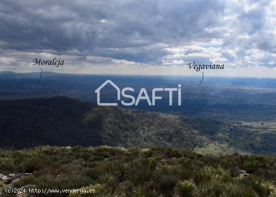 Te sentirás en el techo del mundo con las vistas espectaculares que ofrece esta finca maravillosa.